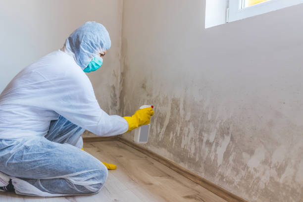 Hvac And Air Duct Mold Remediation inspection of HVAC system in Union City